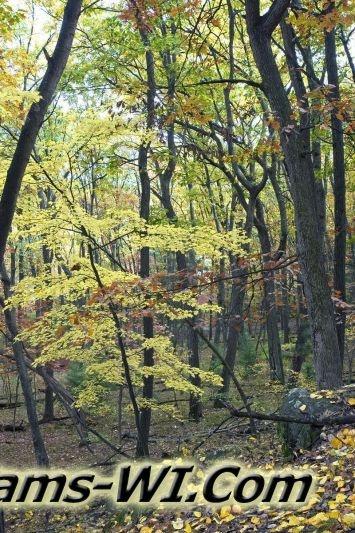 D 800X533 D3Z2387 D 800X533 D3Z2387