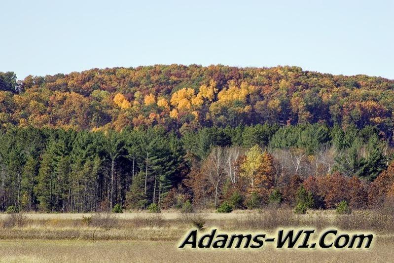 D 800X533 D3Z2658 D 800X533 D3Z2658