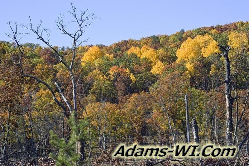 D 800X533 D3Z2666 D 800X533 D3Z2666