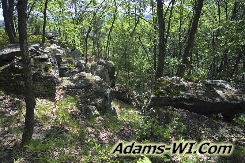 D 800X533 D3Z9668 D 800X533 D3Z9668