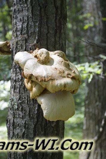 D 800X533 D3Z9669 D 800X533 D3Z9669