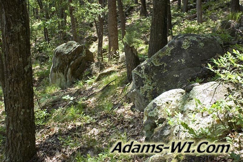 D 800X533 D3Z9680 D 800X533 D3Z9680