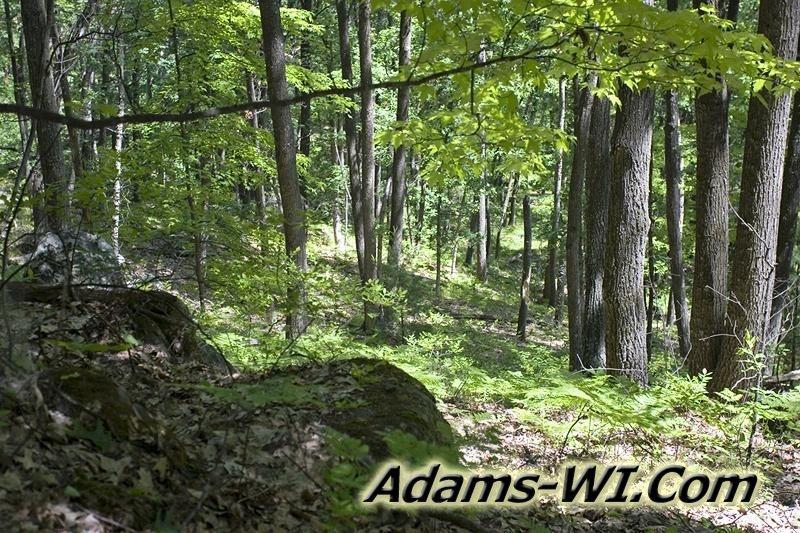 D 800X533 D3Z9698 D 800X533 D3Z9698