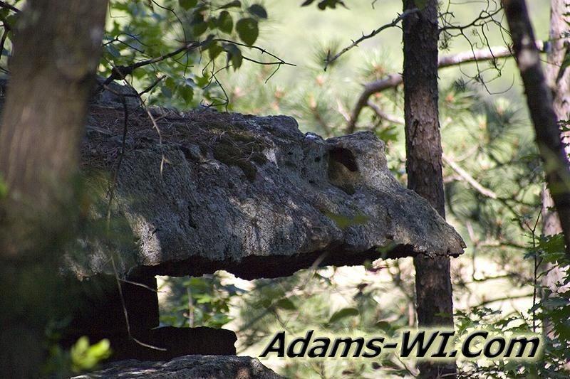 D 800X533 D3Z9710 D 800X533 D3Z9710