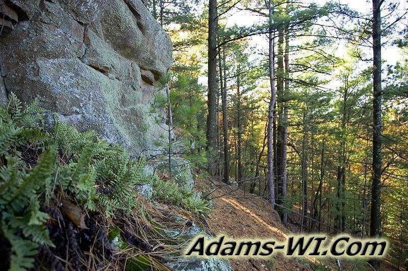 D 800X533 MD3Z4646 D 800X533 MD3Z4646