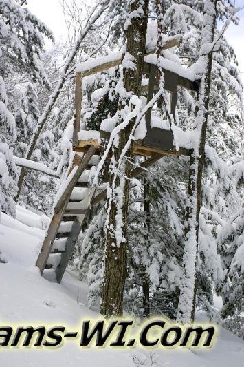 D 800X533 MD3Z7908 D 800X533 MD3Z7908