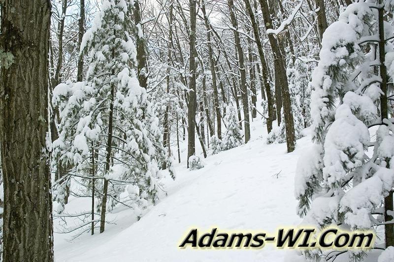 D 800X533 MD3Z7910 D 800X533 MD3Z7910