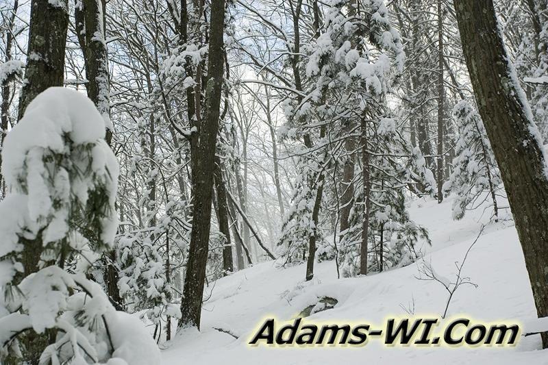 D 800X533 MD3Z7915 D 800X533 MD3Z7915