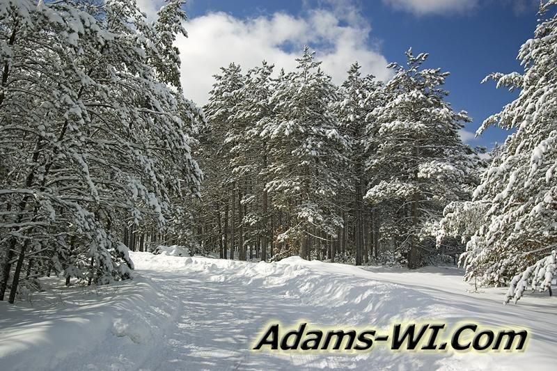 D 800X533 NICE WINTER SCENE D MD3Z7899 D 800X533 NICE WINTER SCENE D MD3Z7899