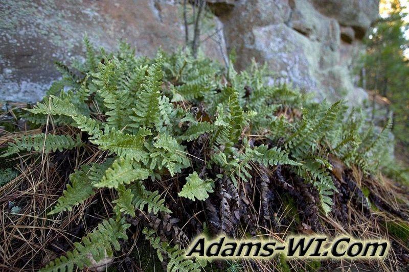 D MD3Z4647 D MD3Z4647