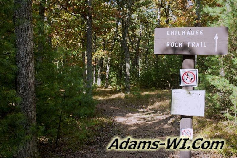 800X533 D3Z0246 800X533 D3Z0246