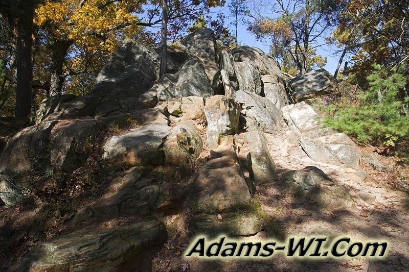 800X533 D3Z0273 800X533 D3Z0273