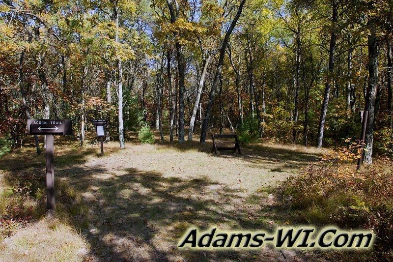 800X533 D3Z0280 800X533 D3Z0280