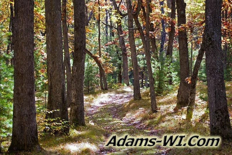 800X533 D3Z0292 800X533 D3Z0292