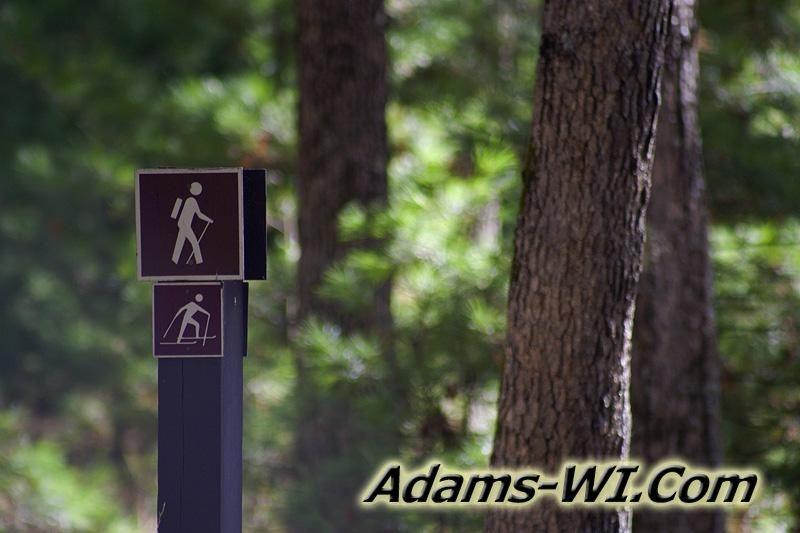 800X533 D3Z0298 800X533 D3Z0298