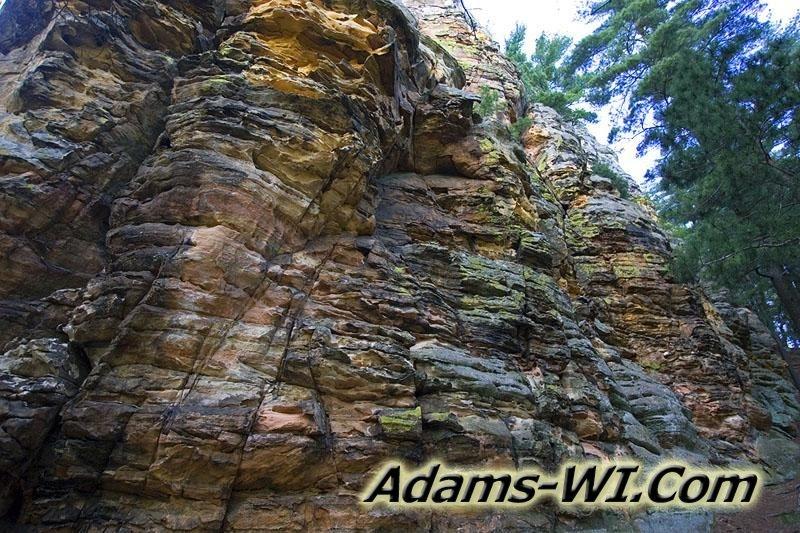 800X533 D3Z6082 800X533 D3Z6082