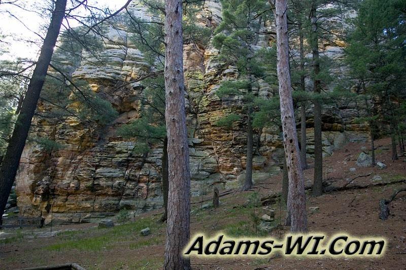 800X533 D3Z6083 800X533 D3Z6083