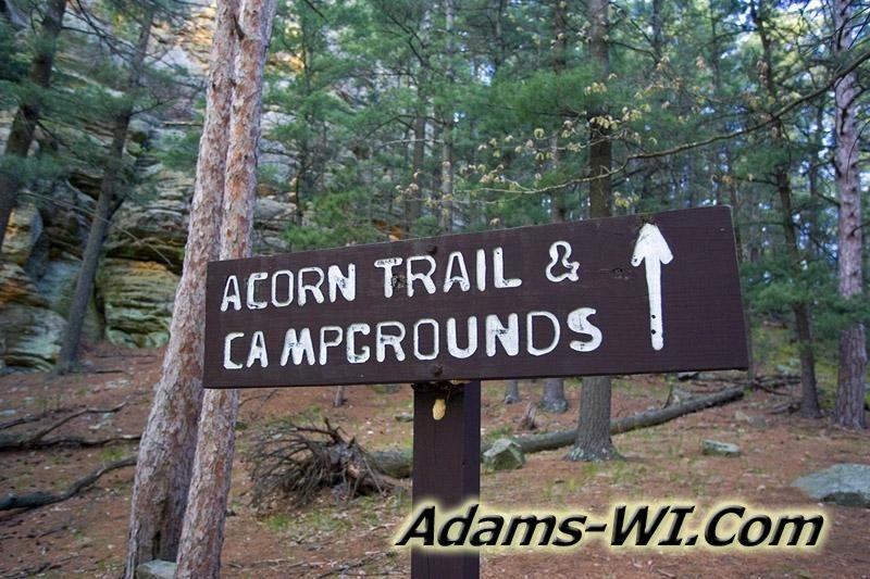 800X533 D3Z6084 800X533 D3Z6084