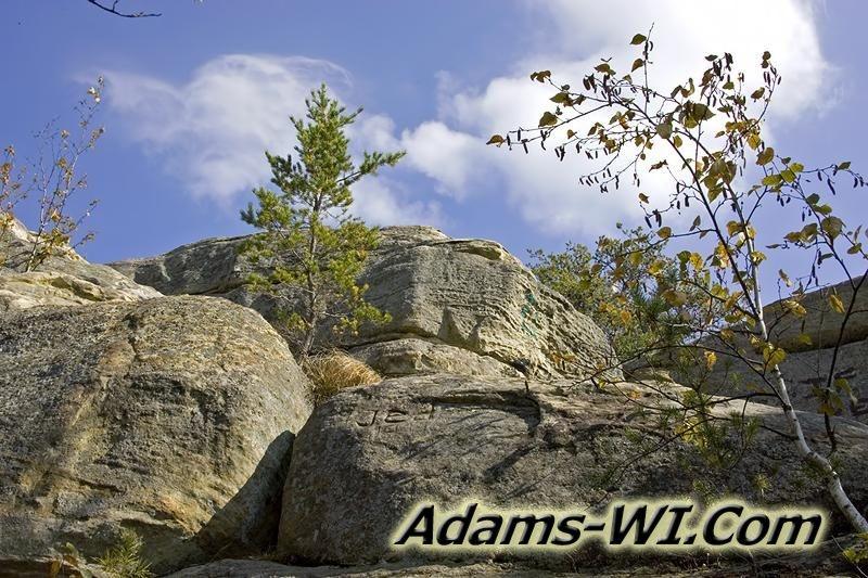 D 800X533 D3Z0237 D 800X533 D3Z0237