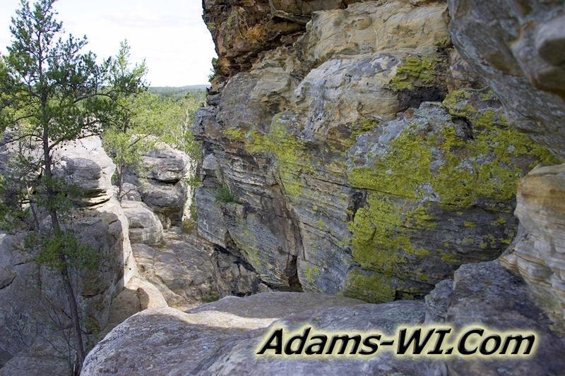 D 800X533 D3Z9314 D 800X533 D3Z9314