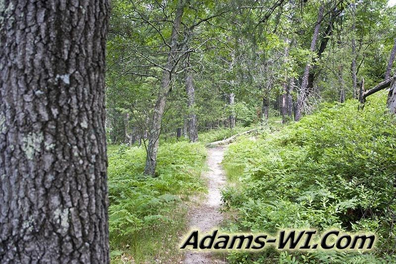 D 800X533 MD3Z4377 D 800X533 MD3Z4377