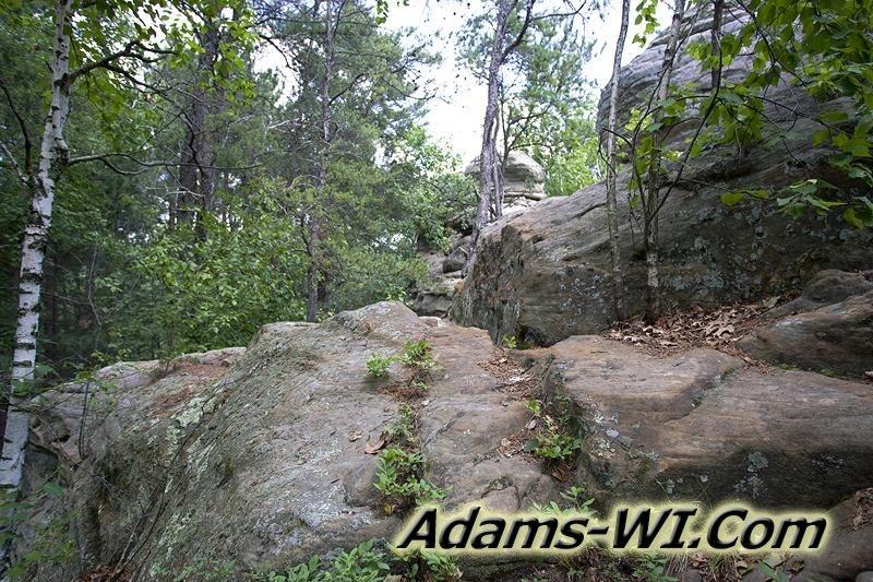 D 800X533 MD3Z4380 D 800X533 MD3Z4380