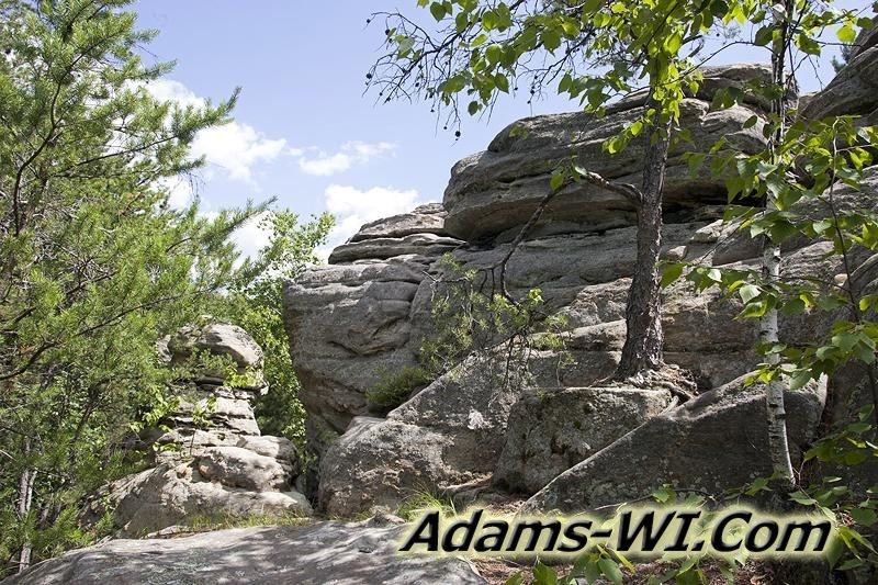 D 800X533 MD3Z4381 D 800X533 MD3Z4381