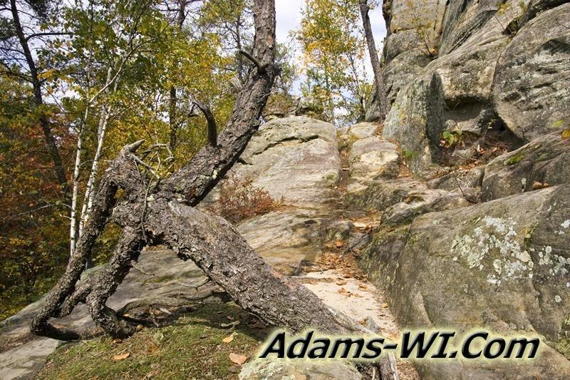 D 800X533 MD3Z6795 D 800X533 MD3Z6795