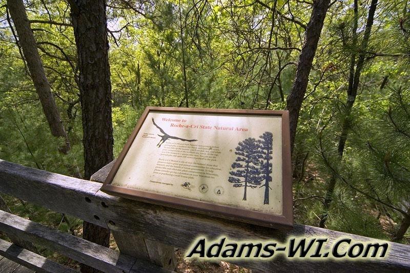 800X533 MD3Z4848 800X533 MD3Z4848