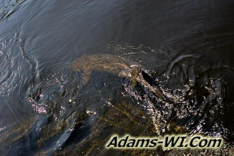 D 800X533 MD3Z1230 D 800X533 MD3Z1230