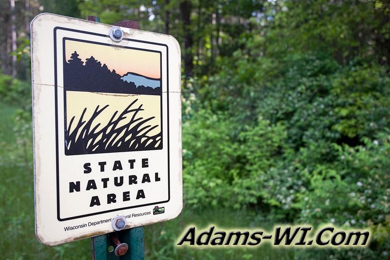 D 800X533 IMG 3427 D 800X533 IMG 3427