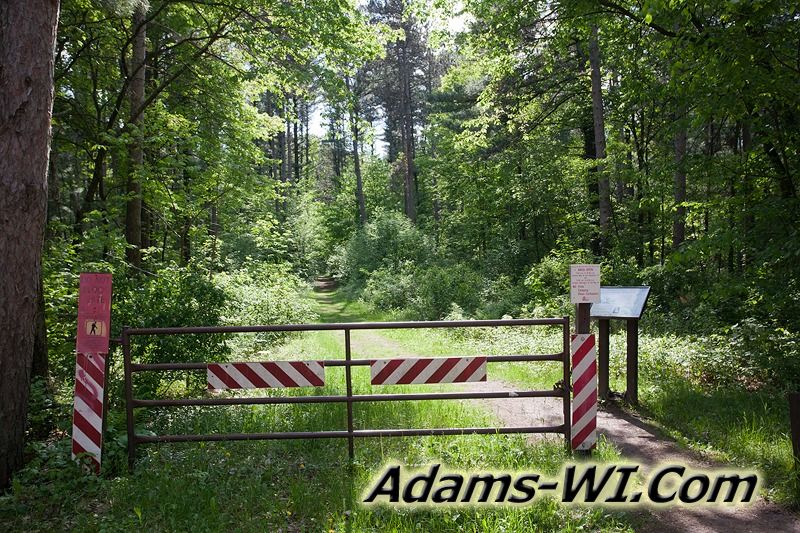 D 800X533 IMG 3429 D 800X533 IMG 3429