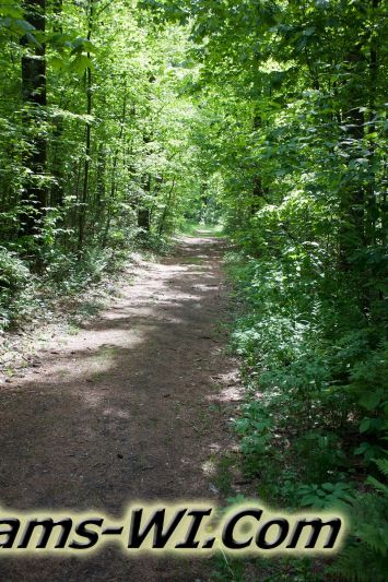 D 800X533 IMG 3434 D 800X533 IMG 3434