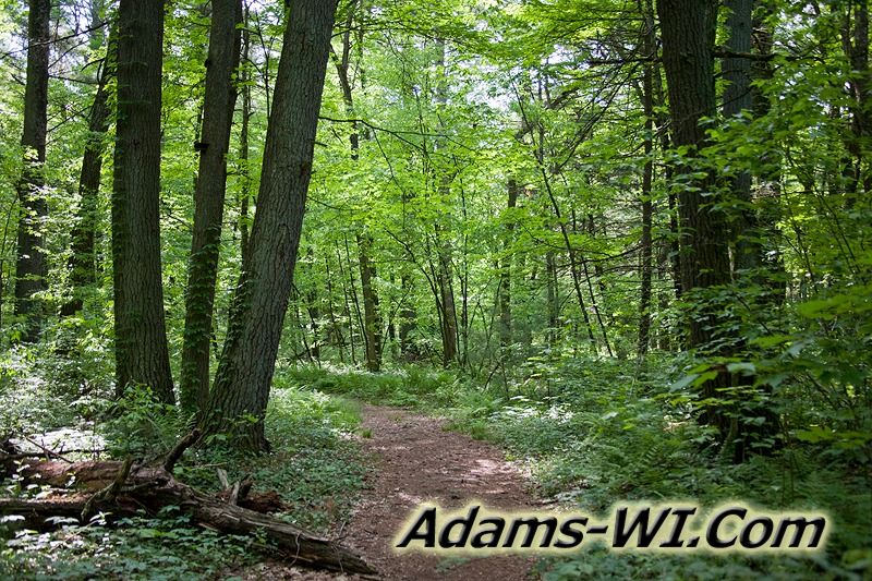 D 800X533 IMG 3443 D 800X533 IMG 3443