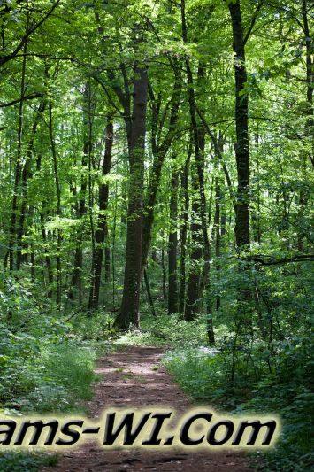 D 800X533 IMG 3444 D 800X533 IMG 3444