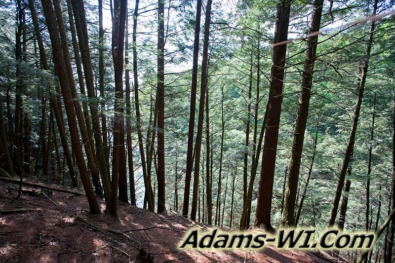 D 800X533 IMG 3451 D 800X533 IMG 3451