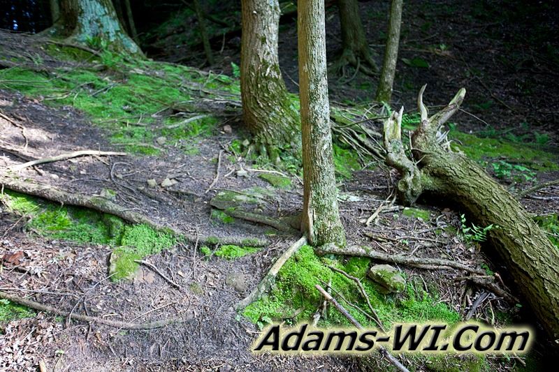 D 800X533 IMG 3475 D 800X533 IMG 3475