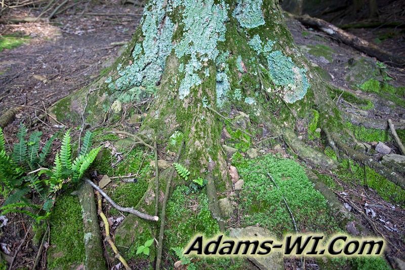 D 800X533 IMG 3476 D 800X533 IMG 3476