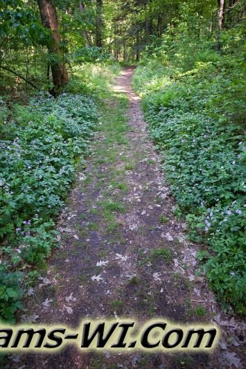 D 800X533 IMG 3478 D 800X533 IMG 3478