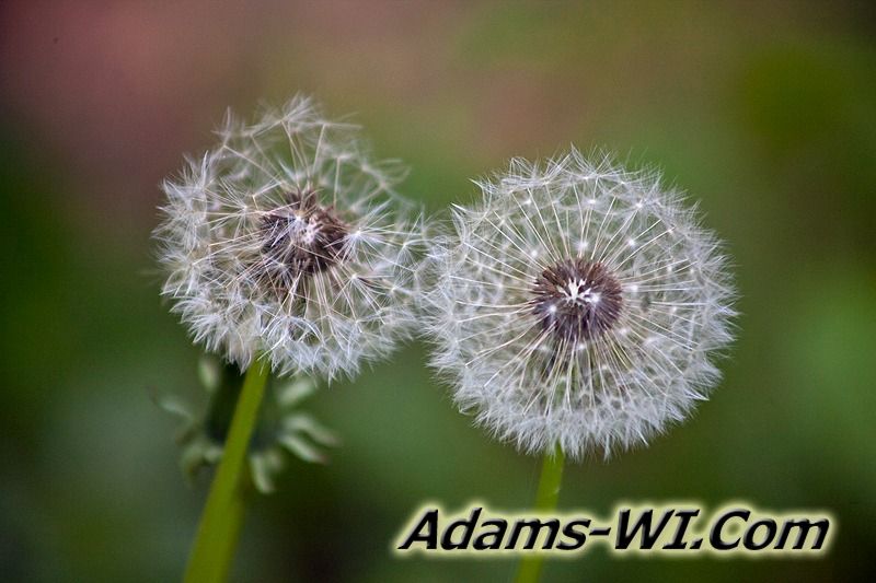D 800X533 IMG 3485 D 800X533 IMG 3485
