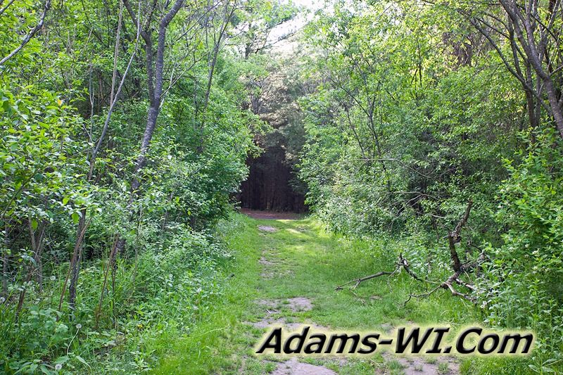 D 800X533 IMG 3497 D 800X533 IMG 3497