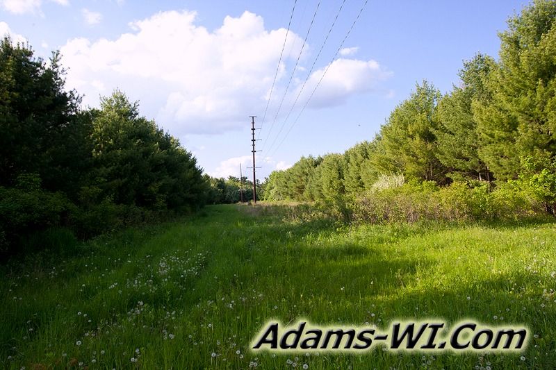 D 800X533 IMG 3501 D 800X533 IMG 3501