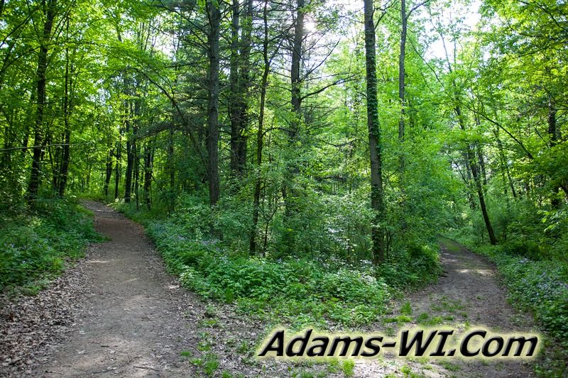 D 800X533 IMG 3507 D 800X533 IMG 3507