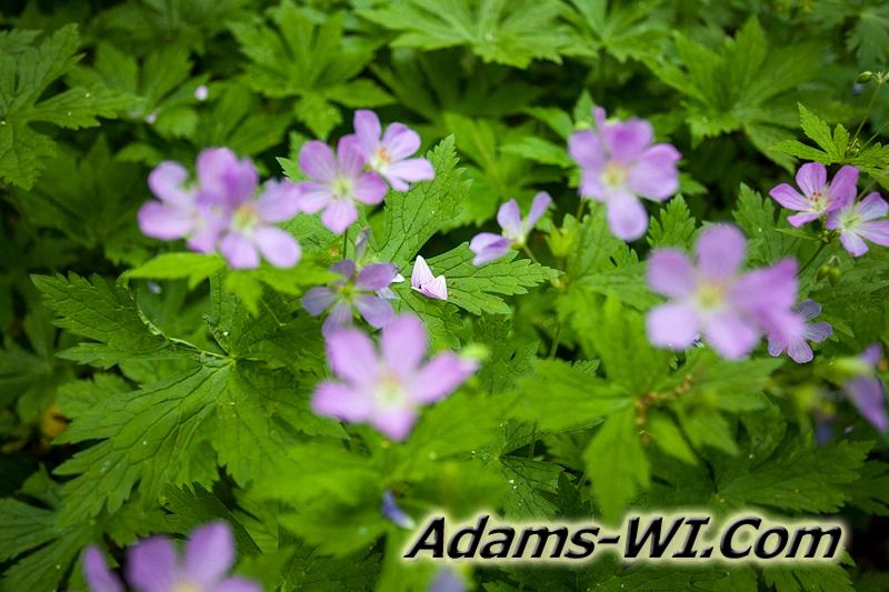 D 800X533 IMG 3508 D 800X533 IMG 3508