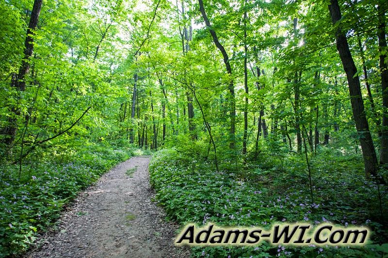 D 800X533 IMG 3509 D 800X533 IMG 3509