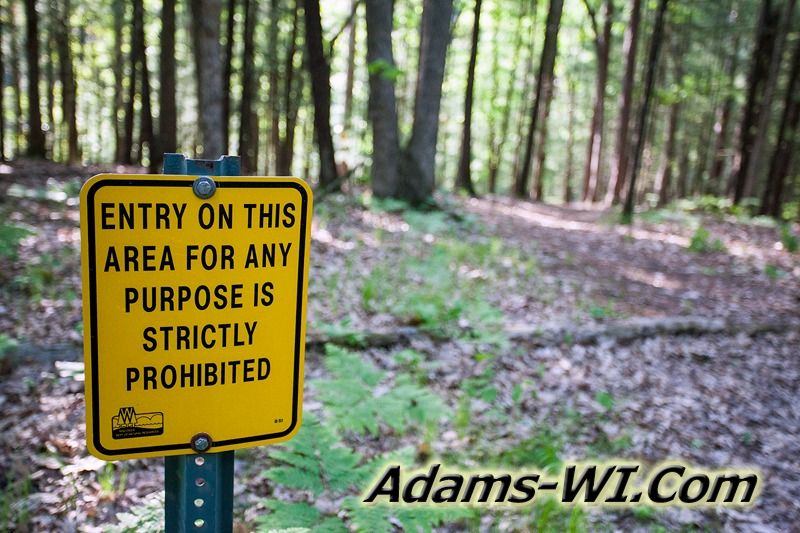 D 800X533 IMG 3522 D 800X533 IMG 3522