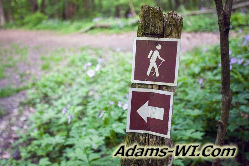 D 800X533 IMG 3524 D 800X533 IMG 3524