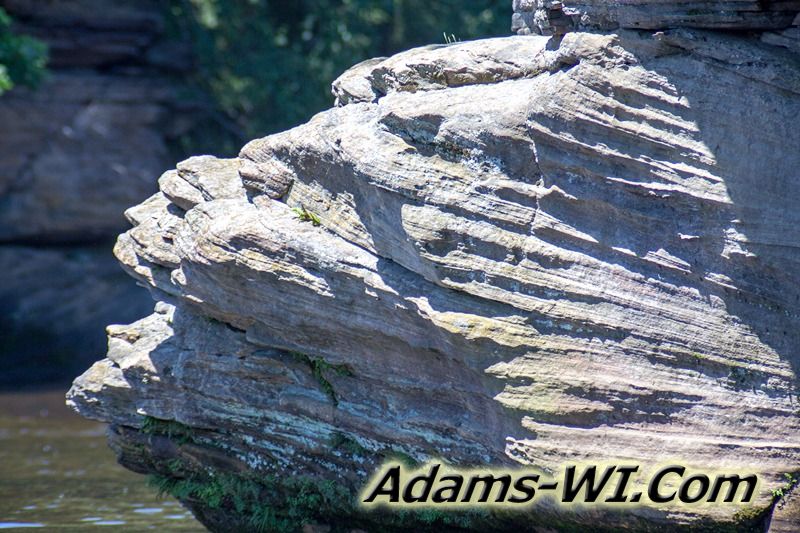 D 800X533 IMG 3603 D 800X533 IMG 3603