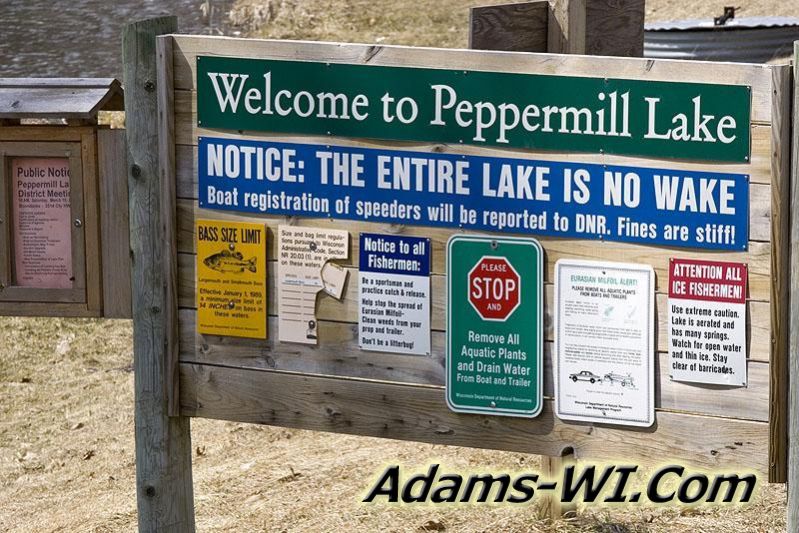 800X533 D3Z4630 800X533 D3Z4630