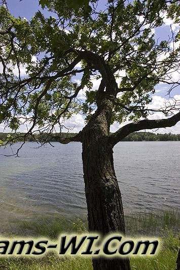 800X533 D3Z6888 800X533 D3Z6888